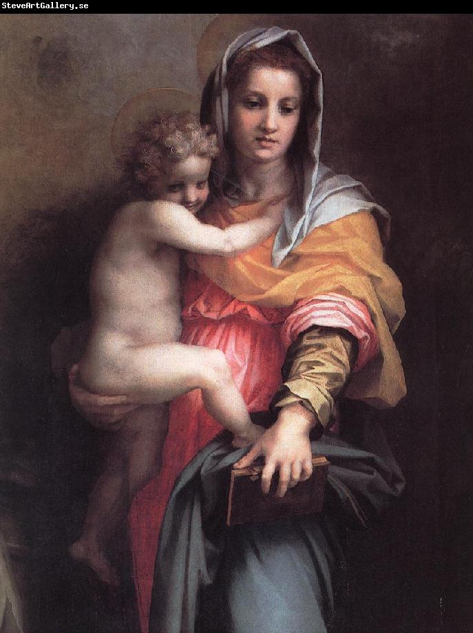 Andrea del Sarto Madonna of the Harpies (detail)  fgfg